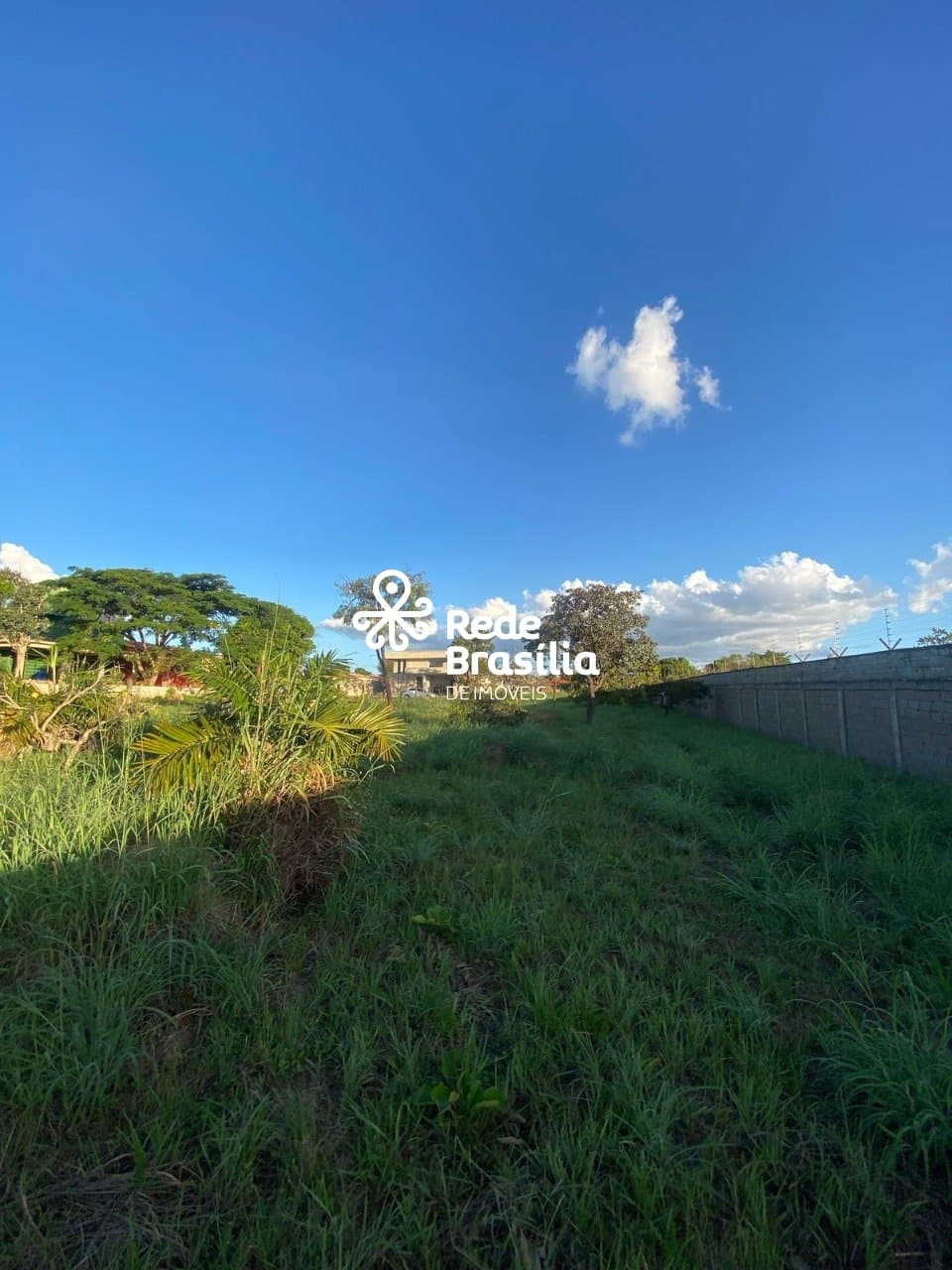 Imagem da propriedade PD3170 2